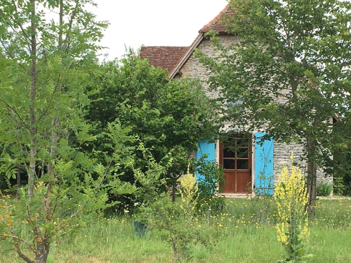 Le Chant Du Coq Lacave (Lot)